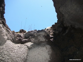 otta degli Archi02-06-2013 13-18-31